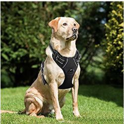 Menkar Large Dog Front Range Dog Harness Black