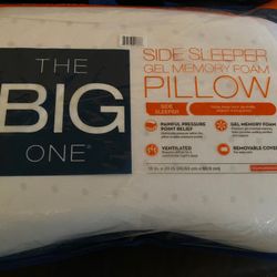 The Big One Pillow 