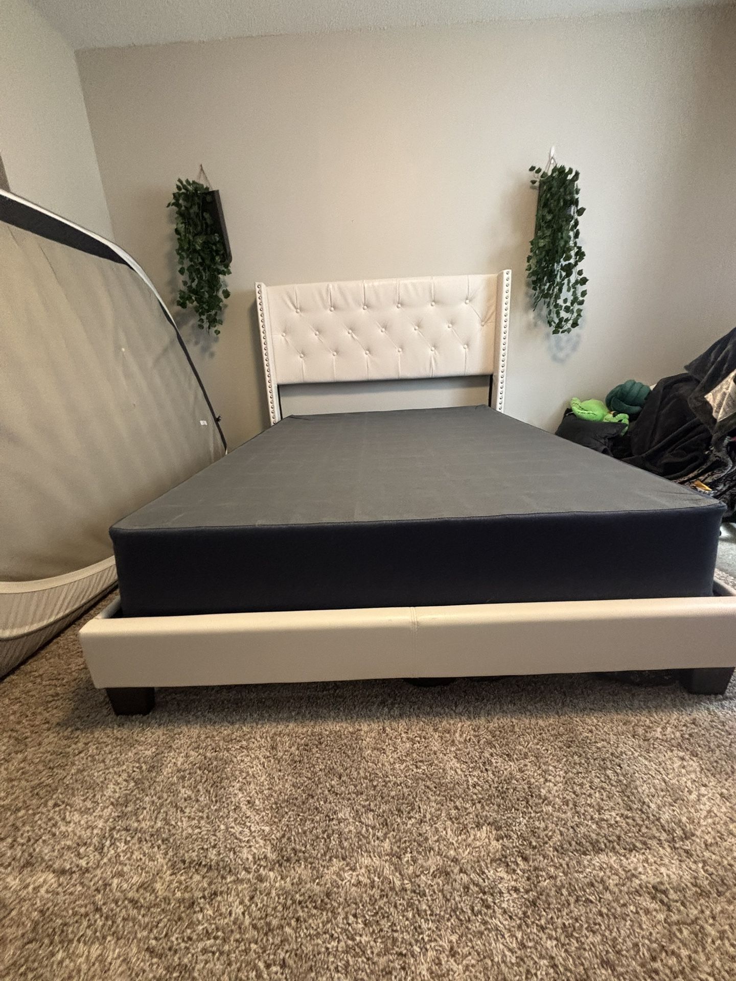 Wingback Full Size Bed frame and Box Spring