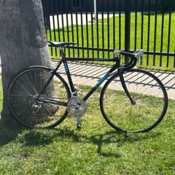 Trek 1100 54cm 21 speed Road Bike 700c