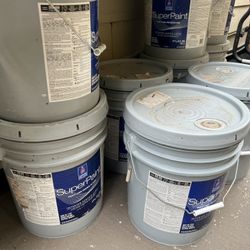 New Paint 