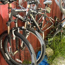 Free Five Trek Bikes.  