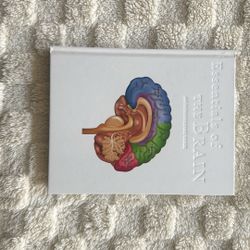 The Essentials Of The Brain