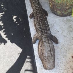 6ft Hand Carved Wooden Alligator Great Yard Feature! Naturally aged... Fun conversation piece! 