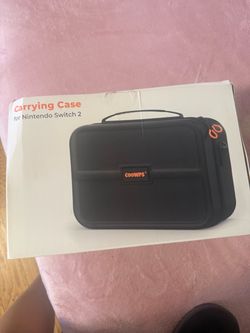 Nintendo case