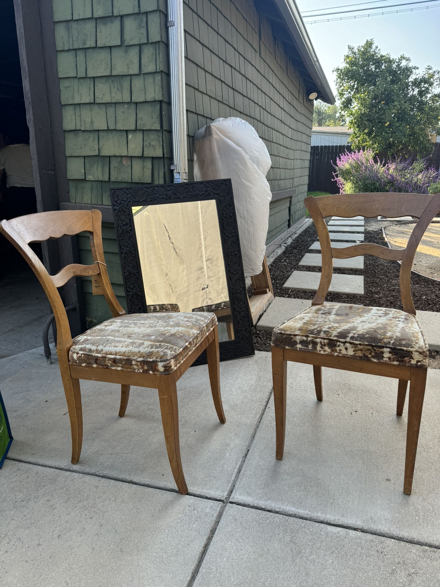 Vintage Retro Dining Chairs
