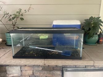 20 gallon tank