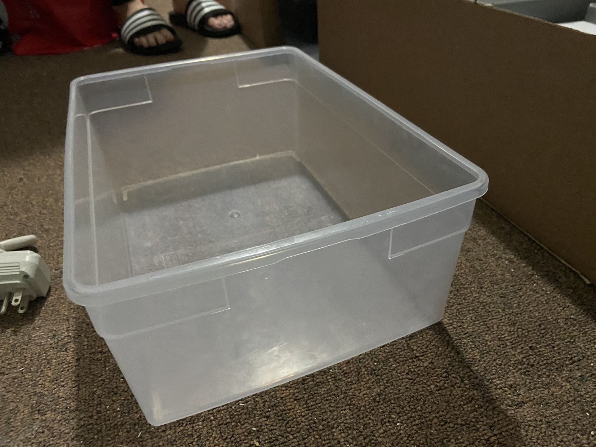 Clear Sneaker Bins With Lids