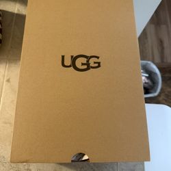 Brand New Tasman uggs