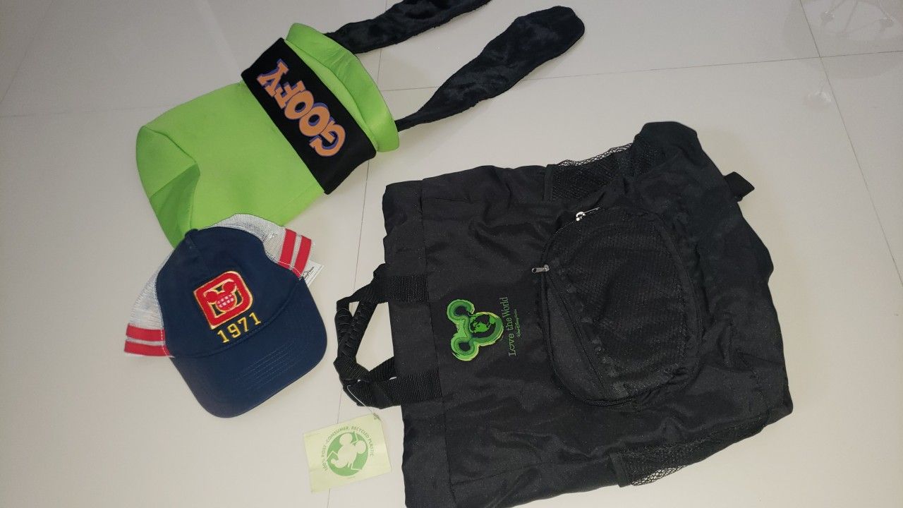 DISNEY WORLD GIFTS SOUVENIRS COSTUME BACKPACK π