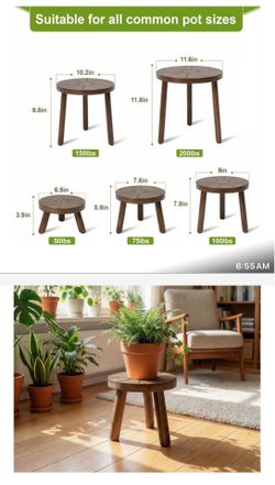 Plant stand 5 pack