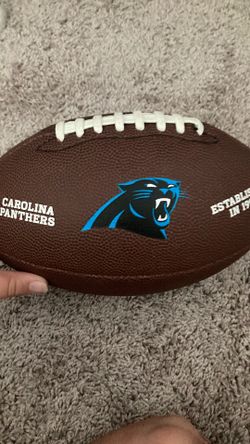 Panthers football