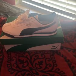 Puma Size 7 Never Been Worn. Fresh 