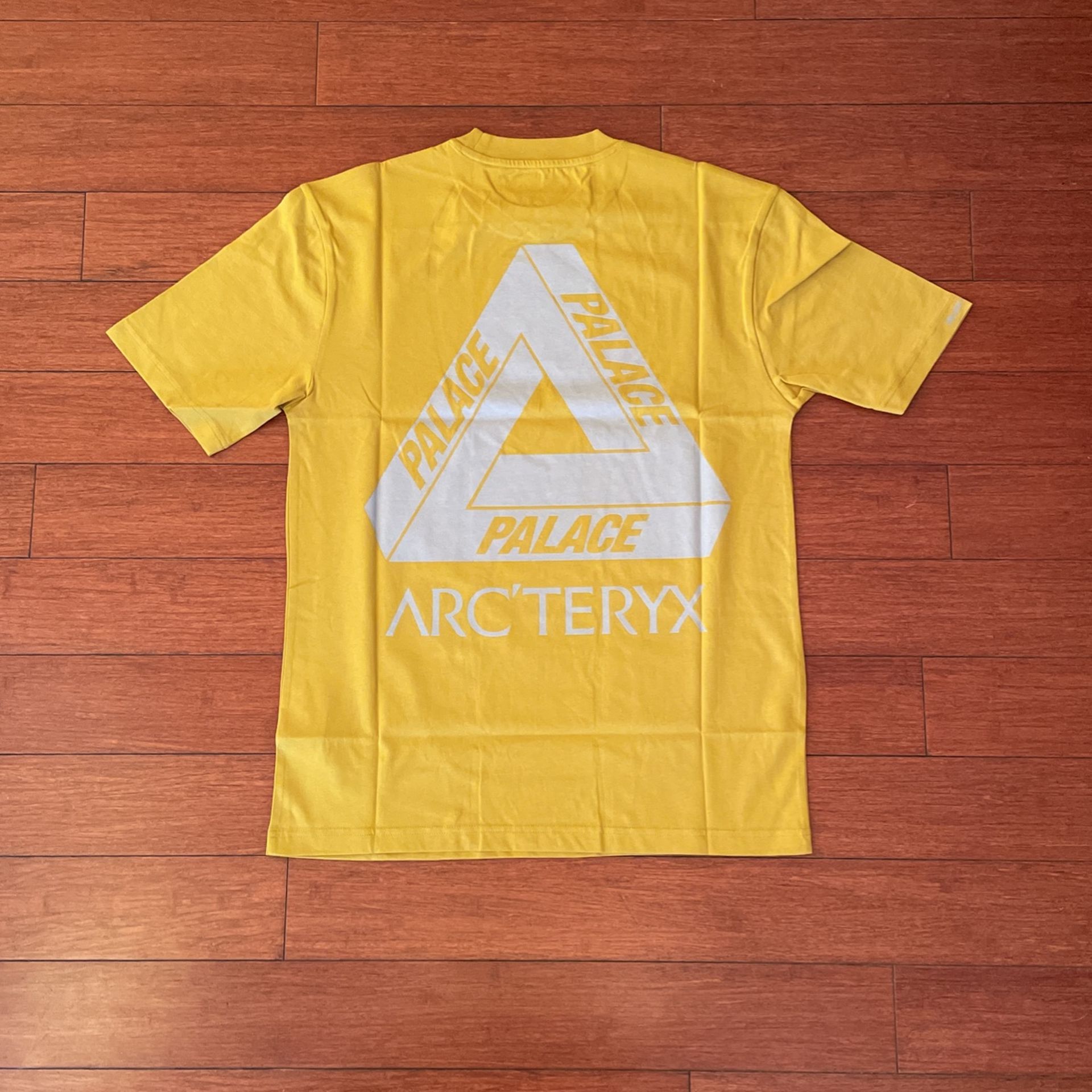 Palace Arc'teryx T Shirt