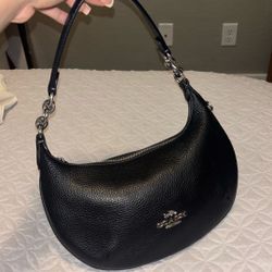 Payton Hobo Coach Bag 