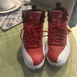 Jordan’s 12 Retro