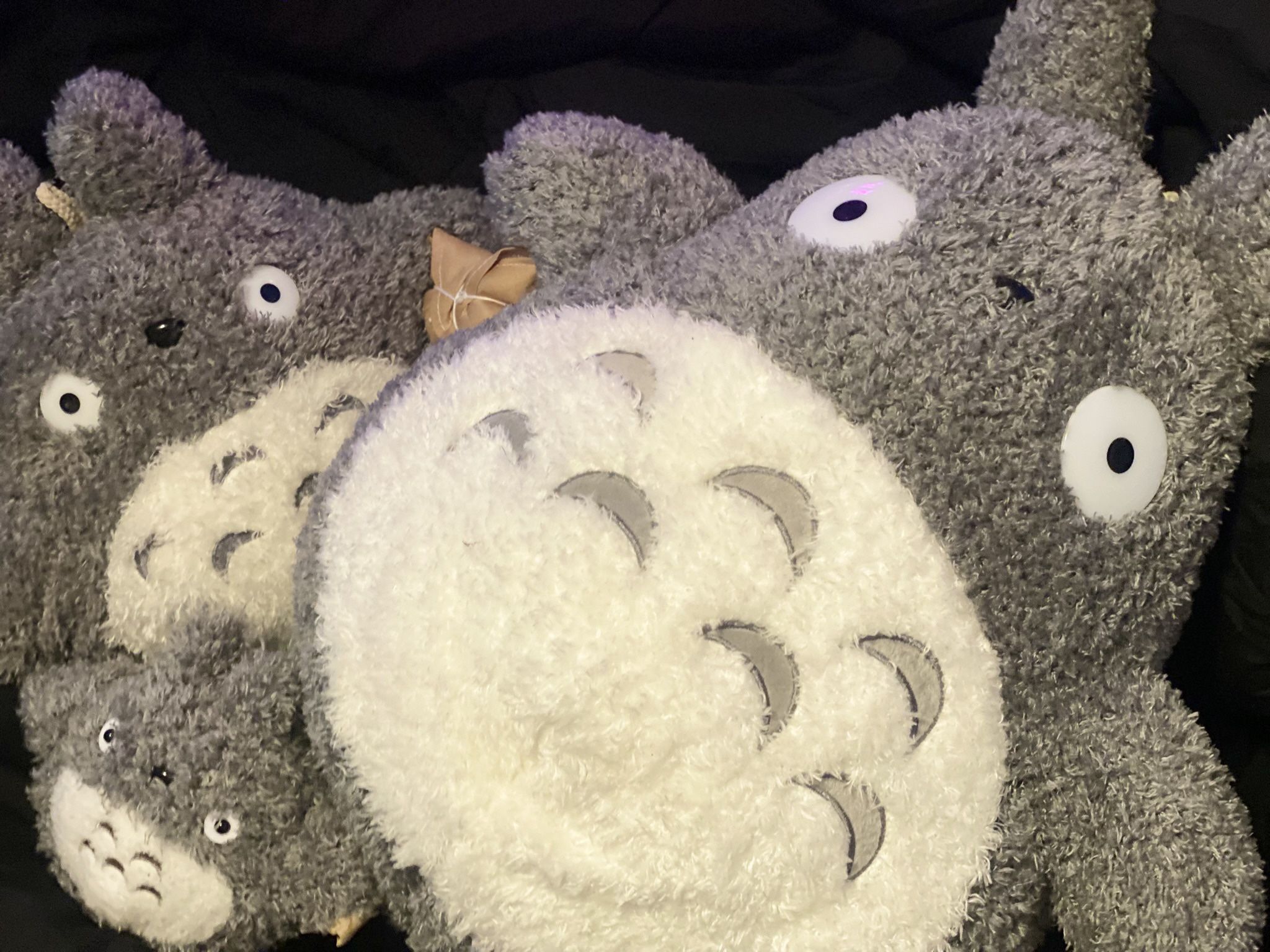 Studio Ghibli Totoro Plushies Set 