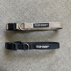 Dog Collar (s)