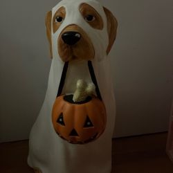 Ghost Dog With Pumpkin 