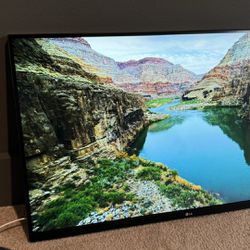 LG 32” 4k HDR Monitor - VESA Mount Only - No Stand