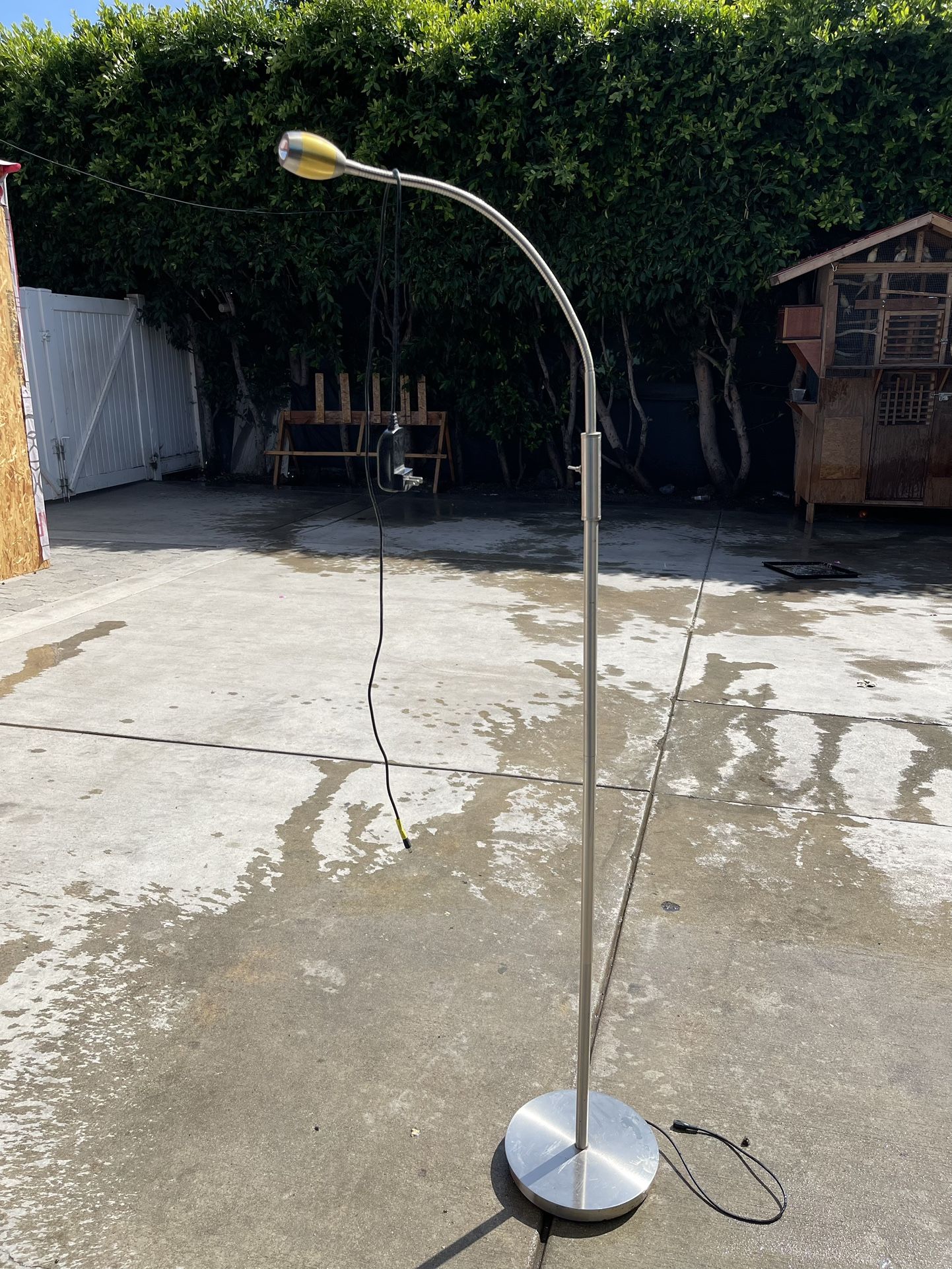 Lamp