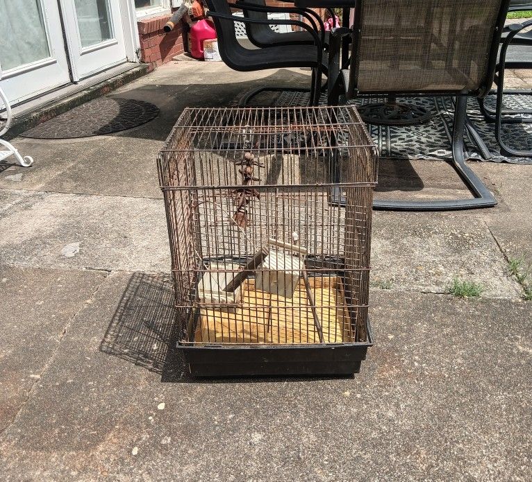 Medium Sized Bird Cage For Sale