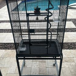 Bird Cage