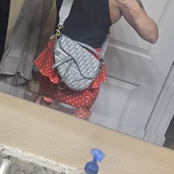 Christian Dior  Saddle Bag
