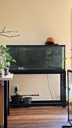 55 Gallon Aquarium