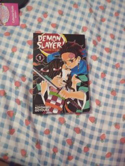Demon Slayer Manga 1