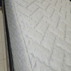 Queen Size Mattress Need Gone 