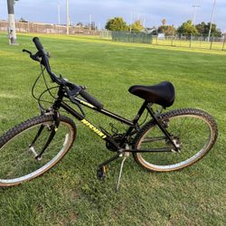 Bike $40