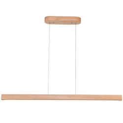 Pendant light brand new