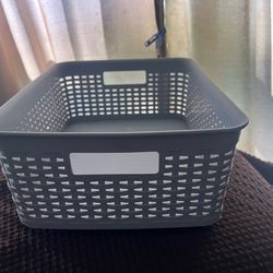 Storage tray organizer