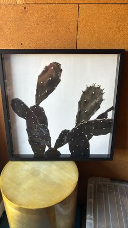 Frame