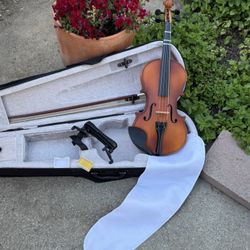Beautiful 😻 Violin 🎻. 2/1