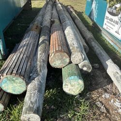 Wood Piles
