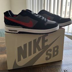 P Rod Zoom Air Low 2025- Men’s Size 8.5