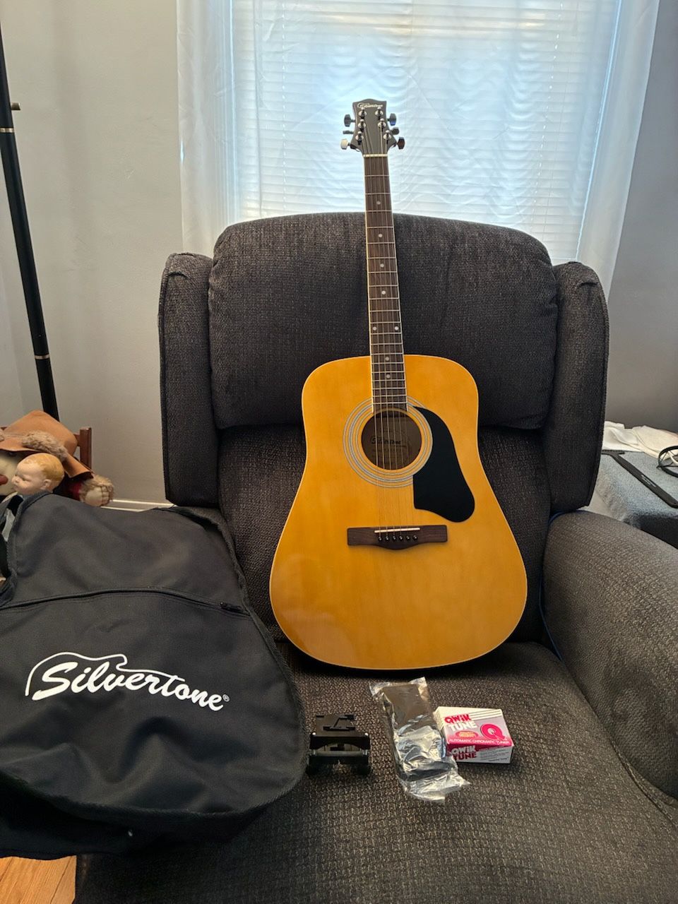 Guitar Silvertone Pro Series
