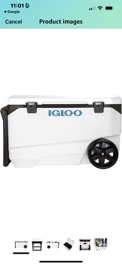 igloo cooler