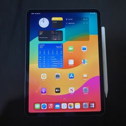 Apple 11 Inch IPad Pro 