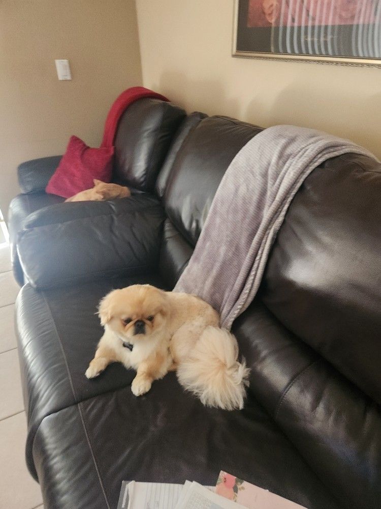 Bear's Furniture Leather Couch Power Recliners