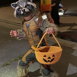 Rocket Raccoon Halloween Costume