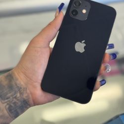iPhone 12 