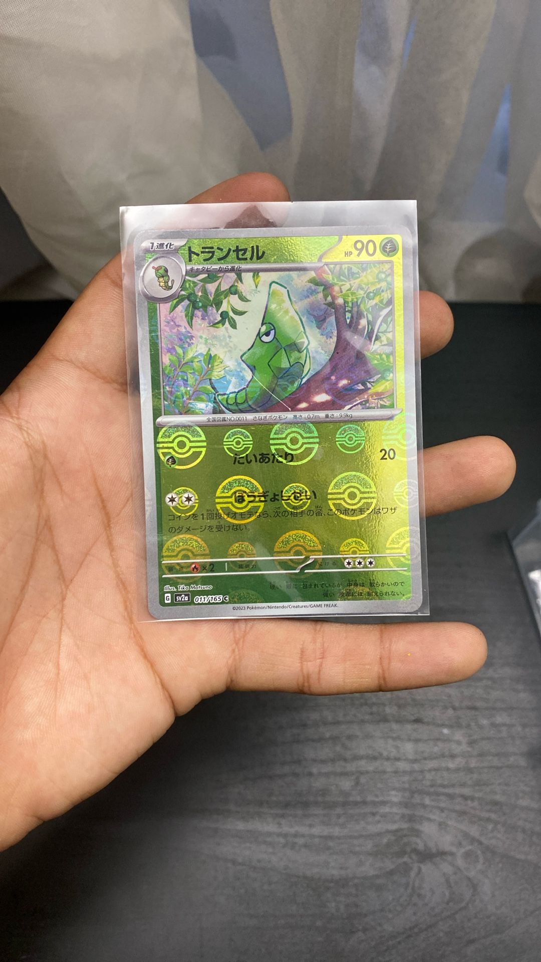 Pokemon Metapod Master Ball Reverse Holo Japanese