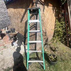 Werner Step Ladder 