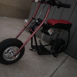 Doodlebug mini Bike 