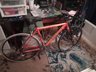 Mens TREK roadbike