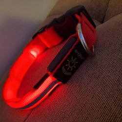 Nite Ize NiteDawg LED Light-Up Dog Collar Red Small