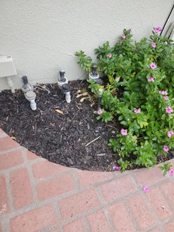 Sprinklers system